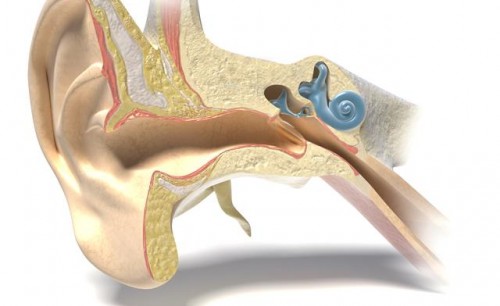 tumore orecchio